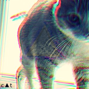 Image for 'ki††y c▲t'