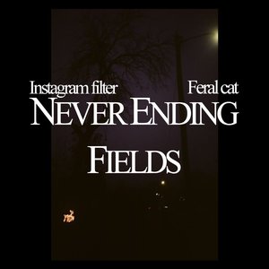 Image for 'Never Ending Fields'