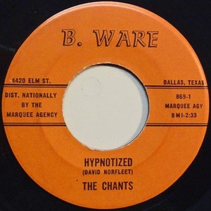Image for 'Hypnotized / Elaina'