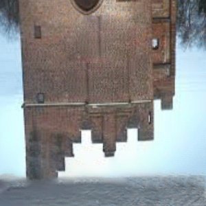 Image for 'wall i was'