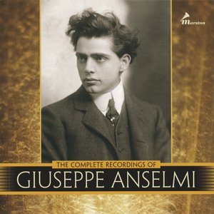Image for 'The Complete Recordings of Giuseppe Anselmi'