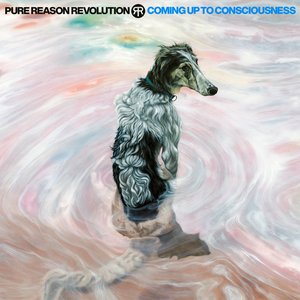 Image for 'Coming Up To Consciousness (Deluxe Edition)'