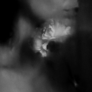 'Holding Absence' için resim