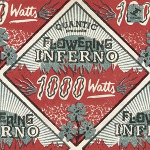 Zdjęcia dla '1000 Watts'