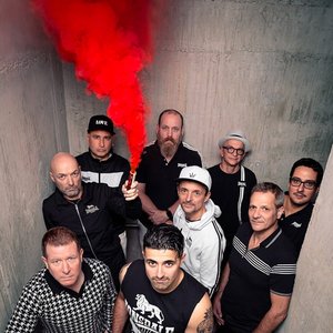 Bild für 'The Busters'