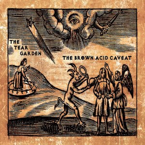 “The Brown Acid Caveat”的封面