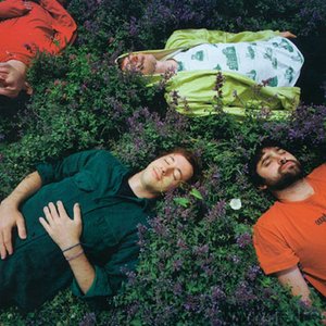 'Animal Collective' için resim