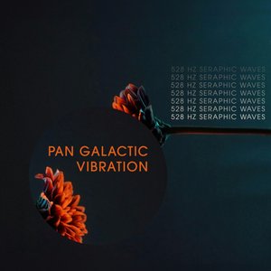 Image for 'Pan Galactic Vibration'