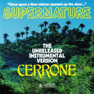 'Supernature (instrumental)'の画像