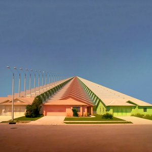 Image for 'Pleasures of Conformity'