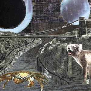Image for 'Green Cosmos'