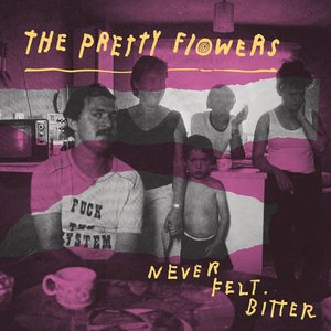 Image for 'Never Felt Bitter'