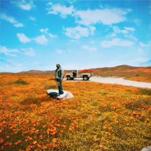 Image for 'California Poppy 3'