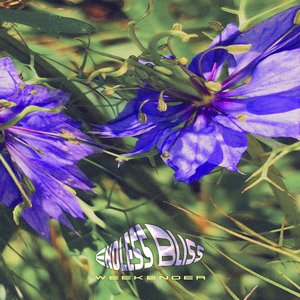 Bild für 'Endless Bliss Weekender'