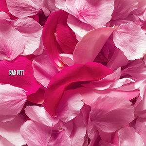 Image for 'Pink'