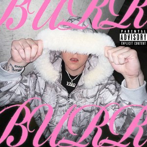 Image for 'BURR'