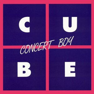 Bild für 'Concert Boy'