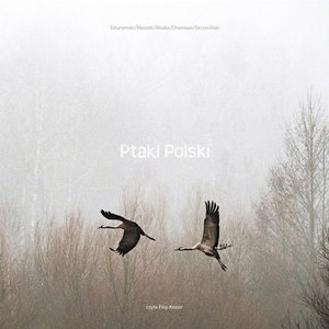 Image for 'Ptaki Polski'