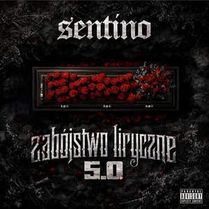 Image for 'Zabójstwo Liryczne 5'