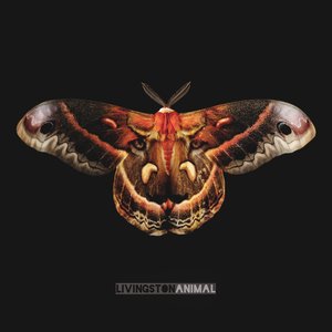 Image for 'Animal'