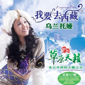 Image for '我要去西藏'