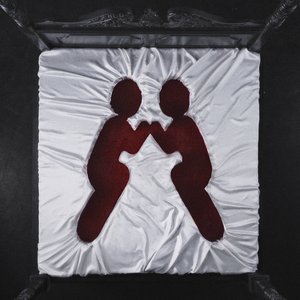 Image for 'I Bring My Gun To The Function (with Boys Noize)'
