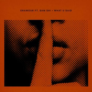 Image for 'What U Said'