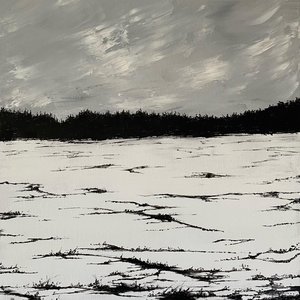 Bild för 'Echoes On A Windswept Plain'