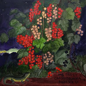 Image for 'Смородина'