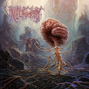 Image pour 'Overwrought'
