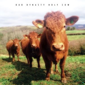 Immagine per 'Holy Cow'