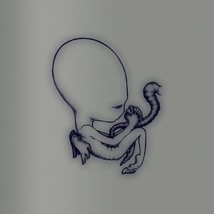 Image pour 'Ágætis Byrjun - A Good Beginning'
