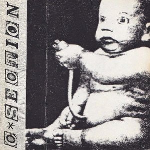 Bild für 'C-Section'