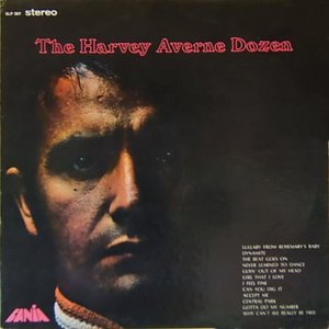 Image for 'The Harvey Averne Dozen'