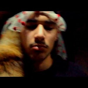 Image for 'fakemink'