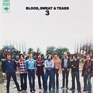 Bild für 'Blood, Sweat And Tears 3'