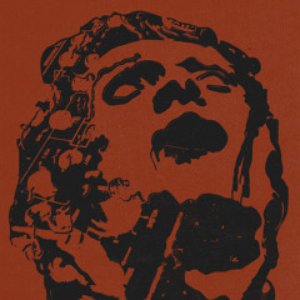 Image for 'Miedo Puro'