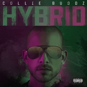 Image pour 'Hybrid'