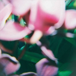 Zdjęcia dla 'You Make Everything Disappear'