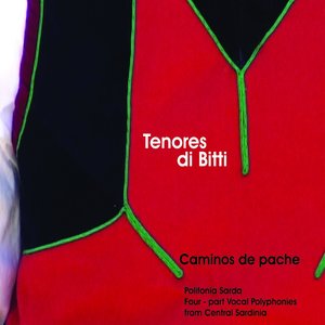 Image for 'Caminos de pache'