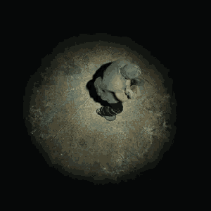 xlockterminus