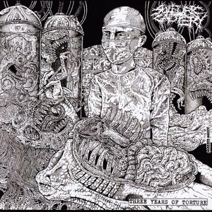 Image for 'Three Years of Torture'