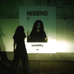 Image for 'Missing Something'