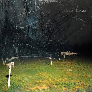 Image for 'This Stupid World'