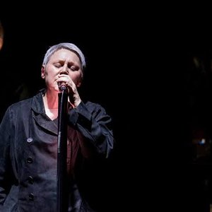 Image for 'Massive Attack, Elizabeth Fraser'