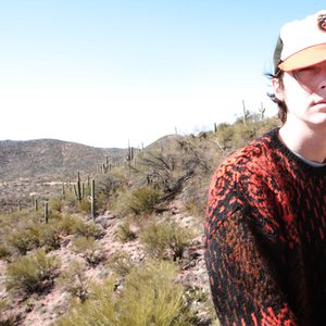Image pour 'Panda Bear'