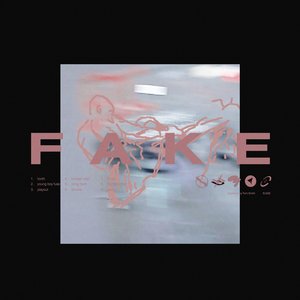 Image for 'Fake'