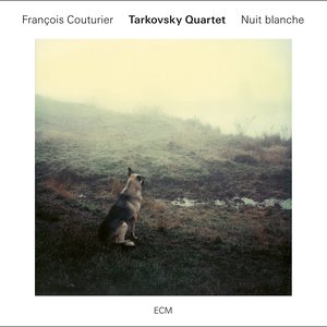 Image for 'Nuit blanche'