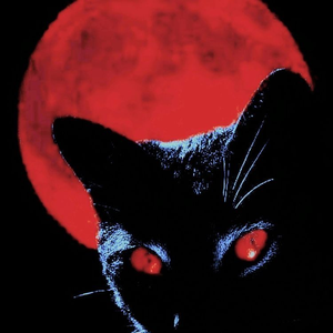 kittykujo