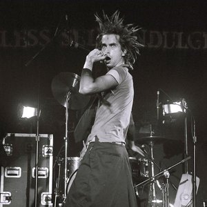 Image pour 'Mindless Self Indulgence'